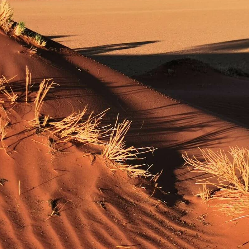 Namibrand Nature Reserve