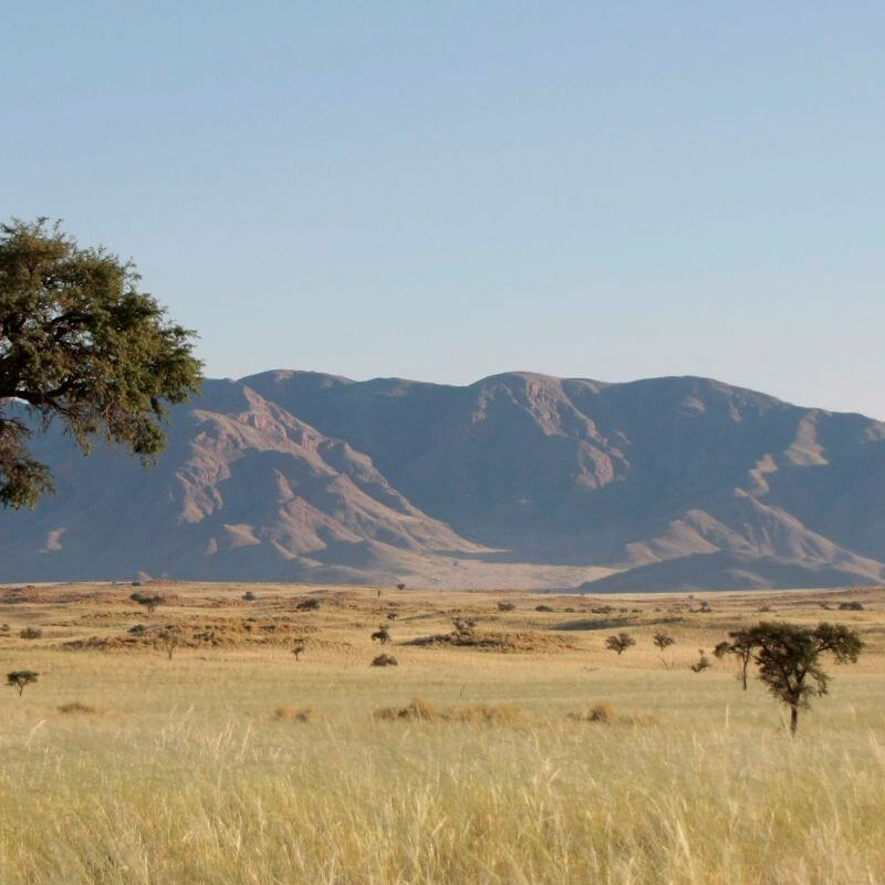 Namibrand Nature Reserve