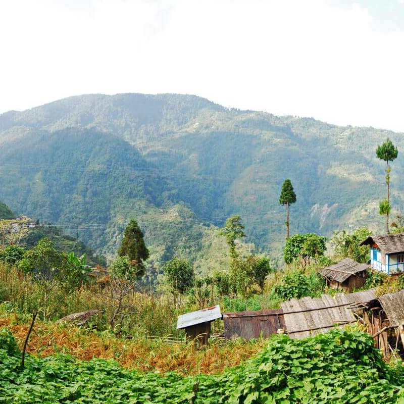Neora Valley