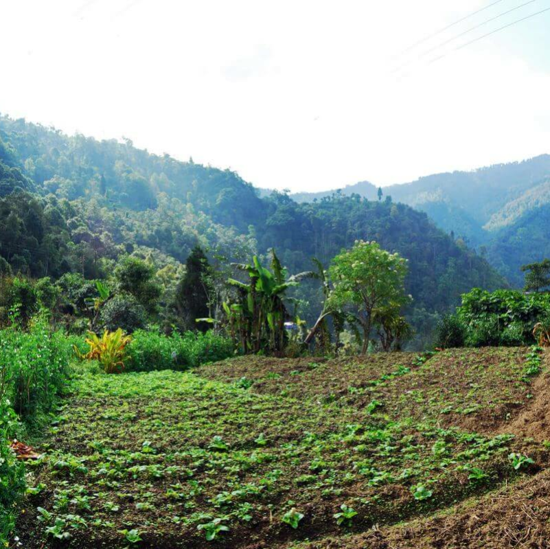 Neora Valley