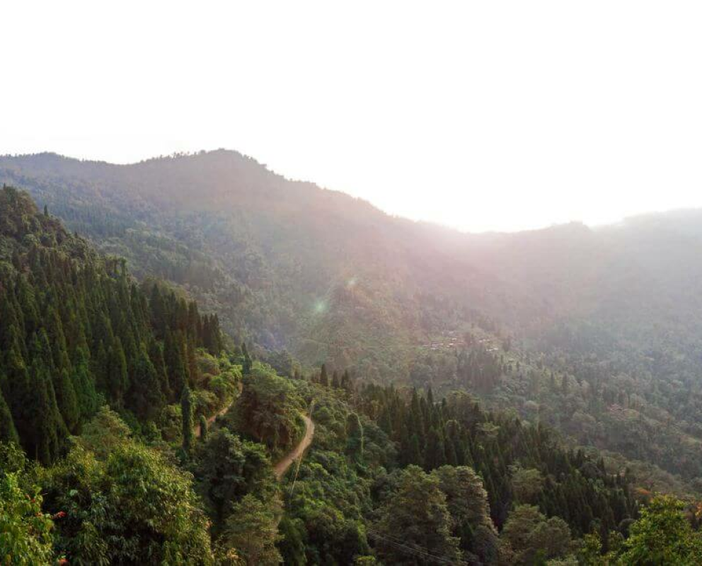 Neora Valley