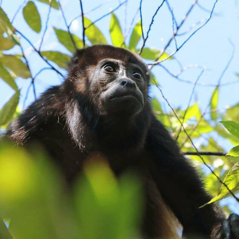 Nicoya Halbinsel