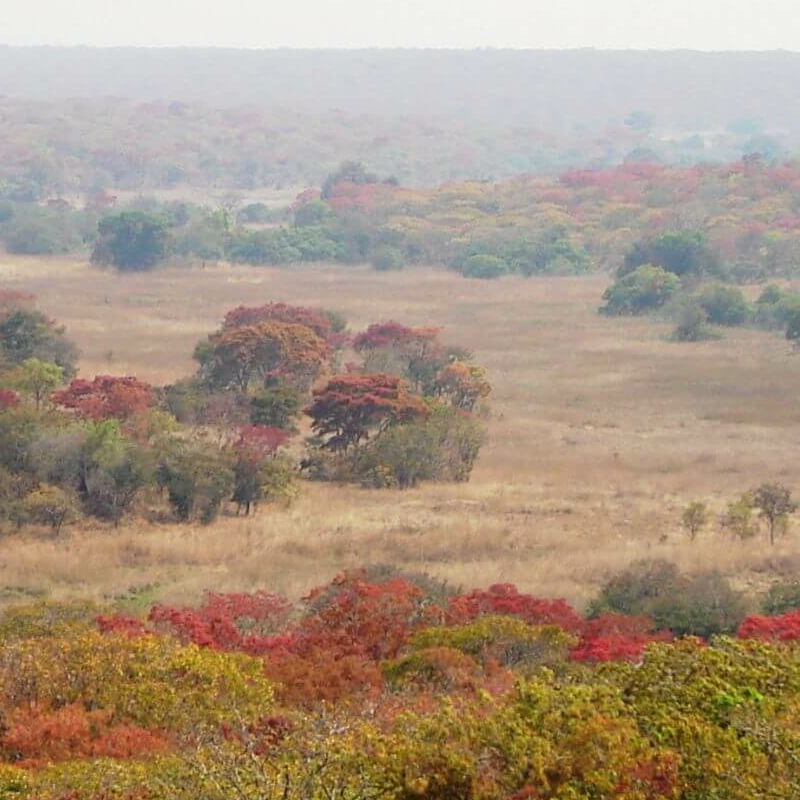 Norden Sambia