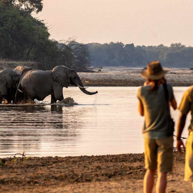 North Luangwa