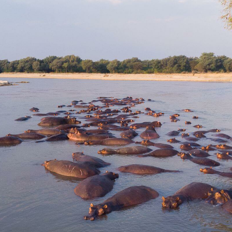 North Luangwa