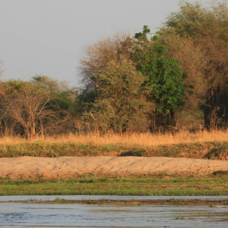 North Luangwa