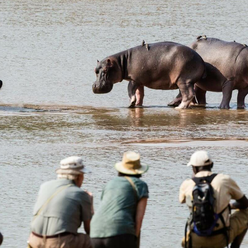North Luangwa