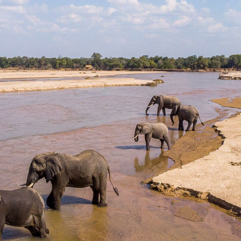 North Luangwa