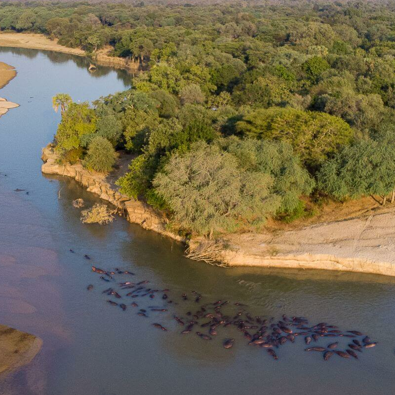 North Luangwa