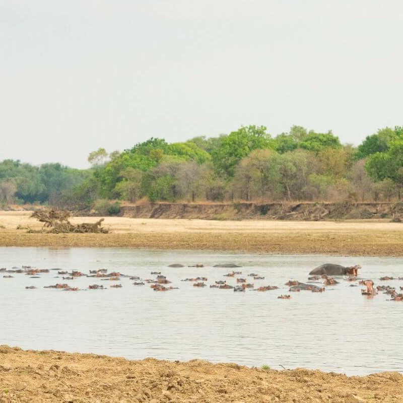 North Luangwa