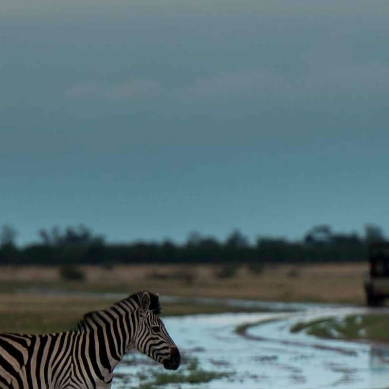 Nxai Nationalpark