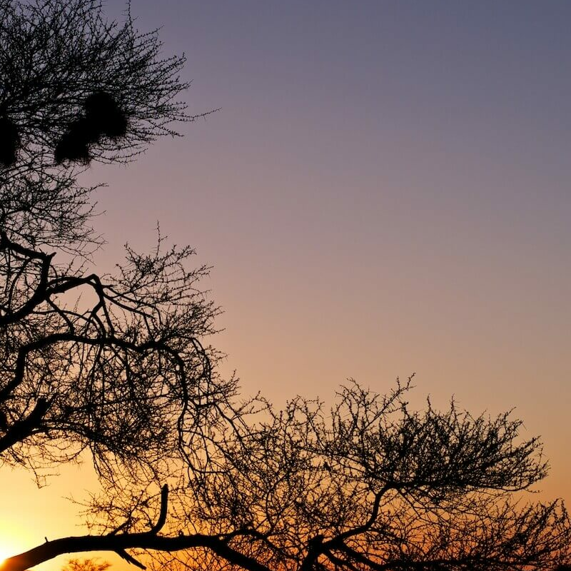 Nxai Nationalpark