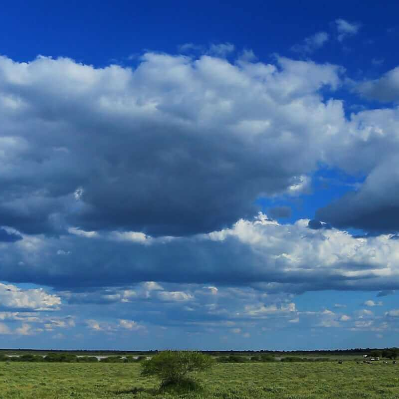 Nxai Nationalpark
