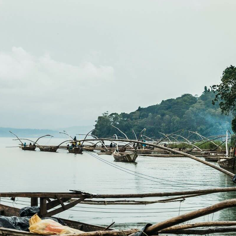 Nyungwe Forest