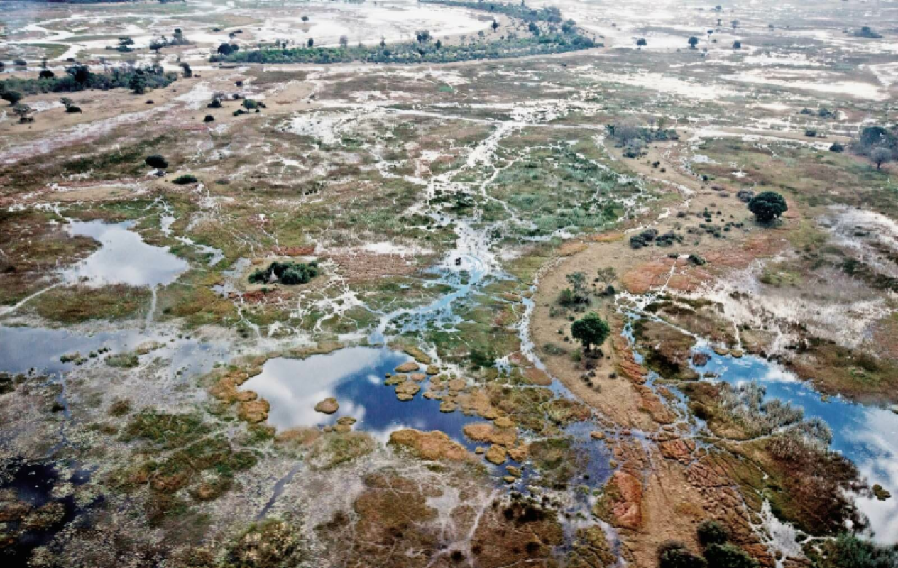 Okavango Delta