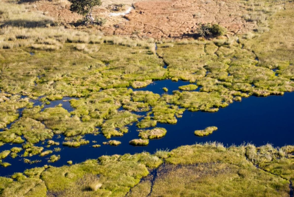 Okavango Delta
