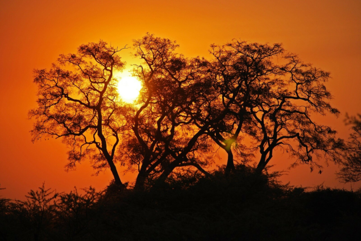 Okavango Delta