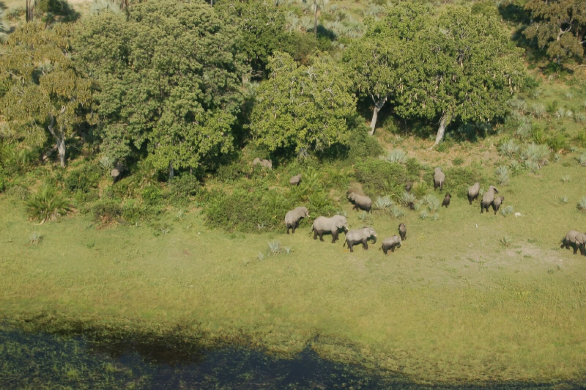 Okavango Delta