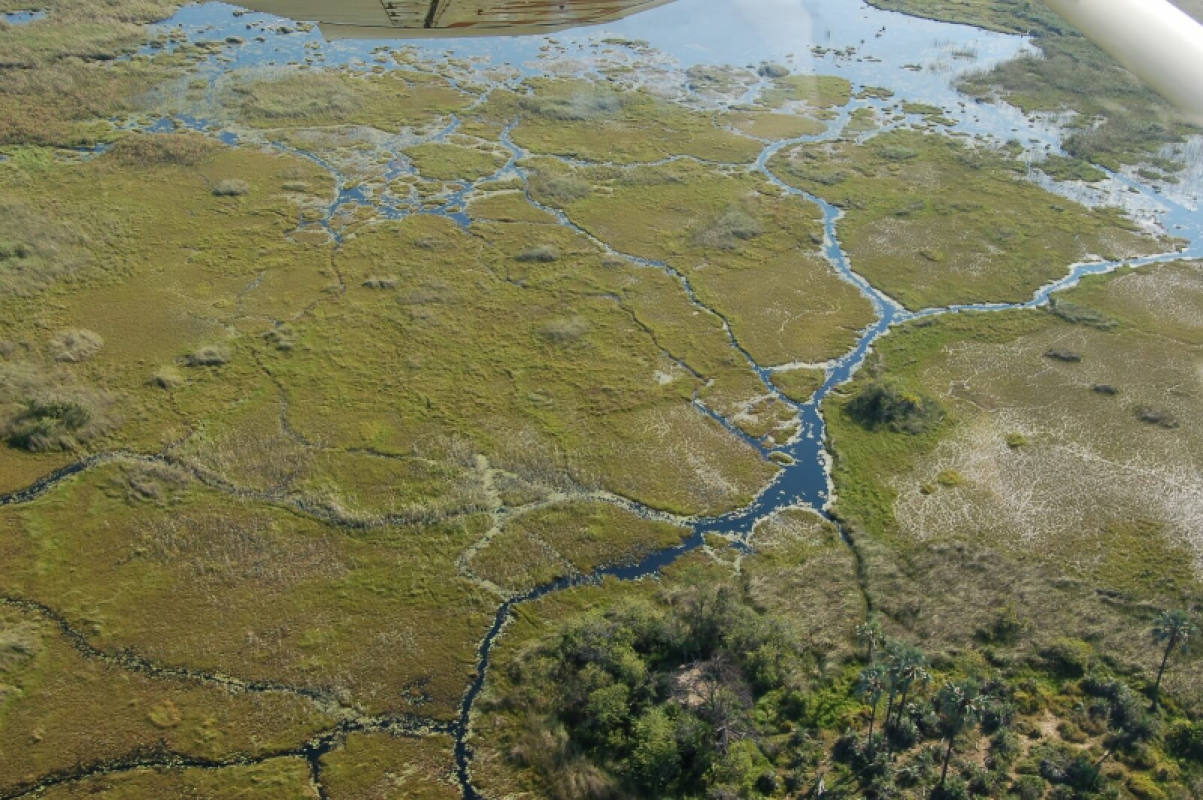 Okavango Delta