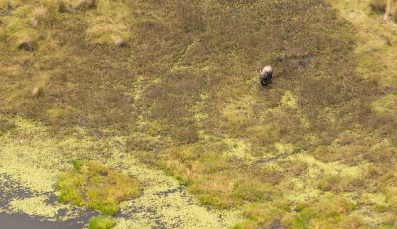 Okavango Delta