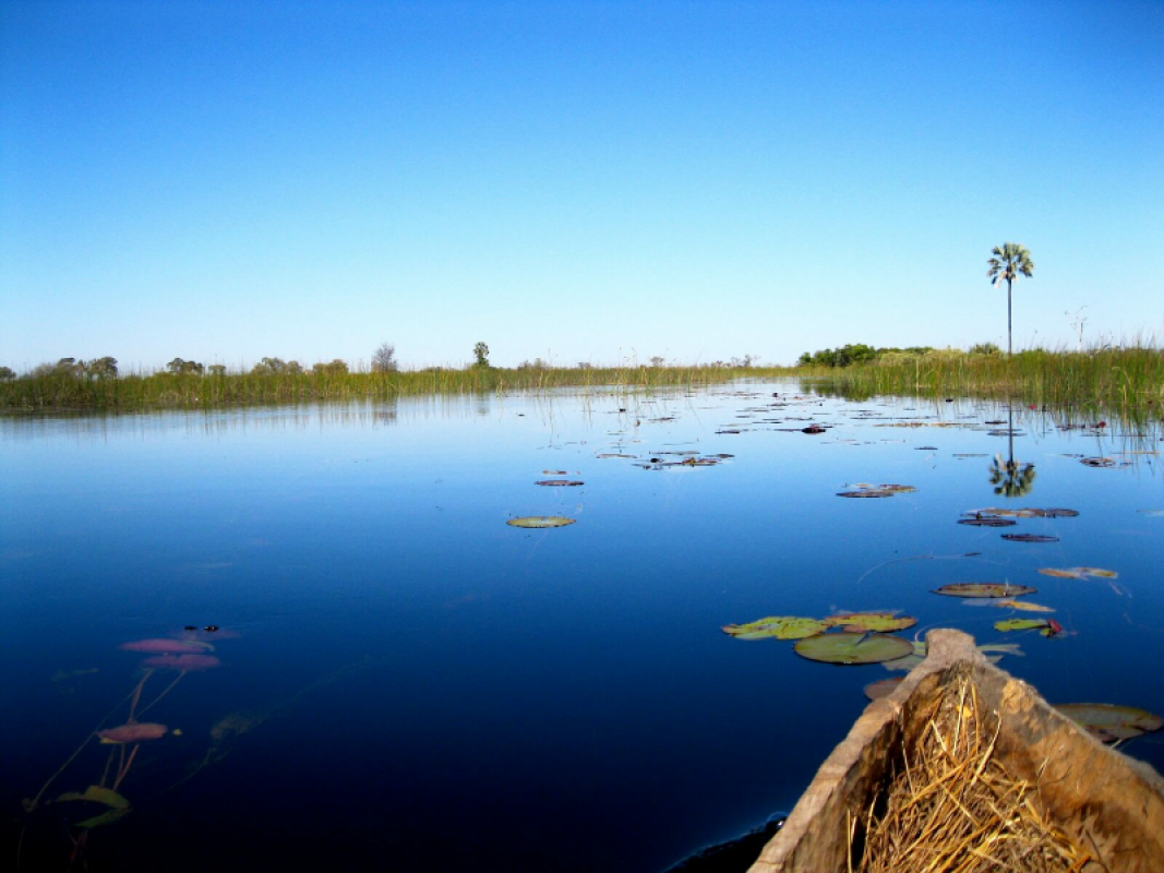 Okavango Delta