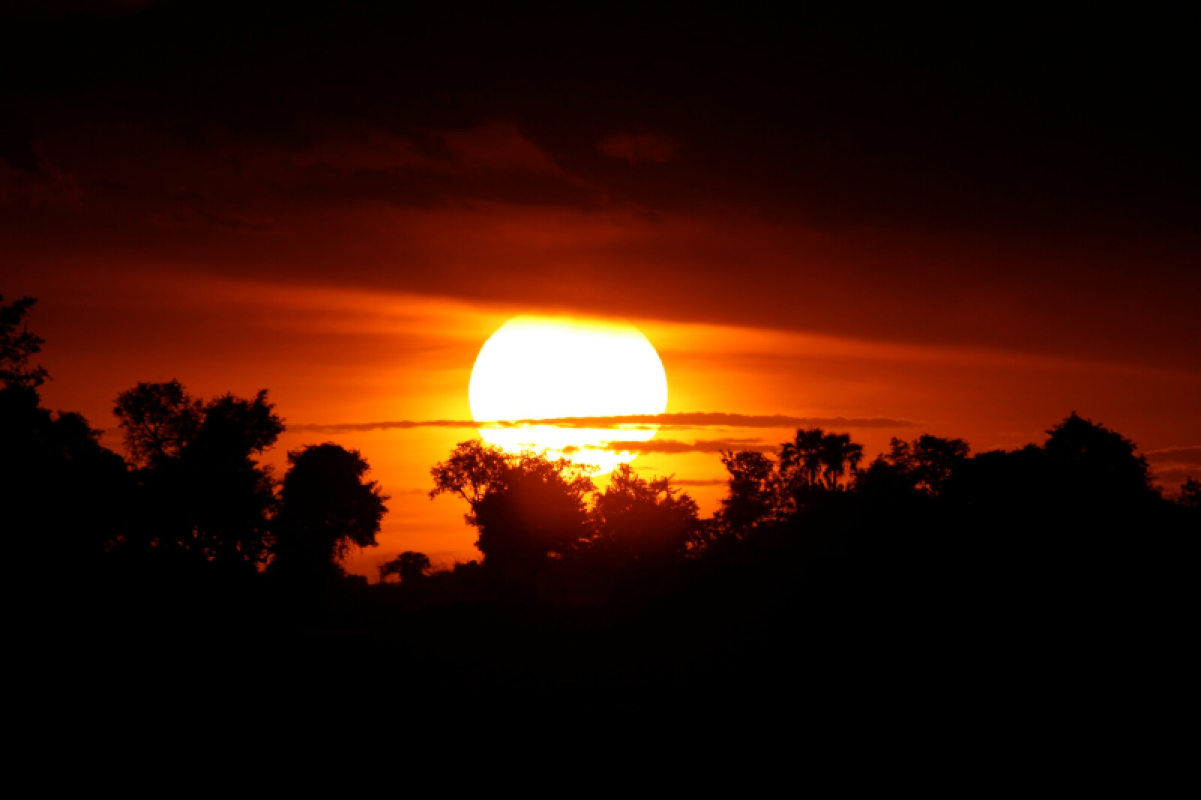 Okavango Delta