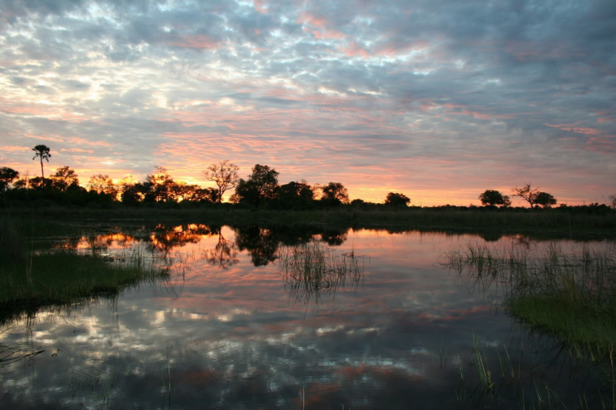 Okavango Delta
