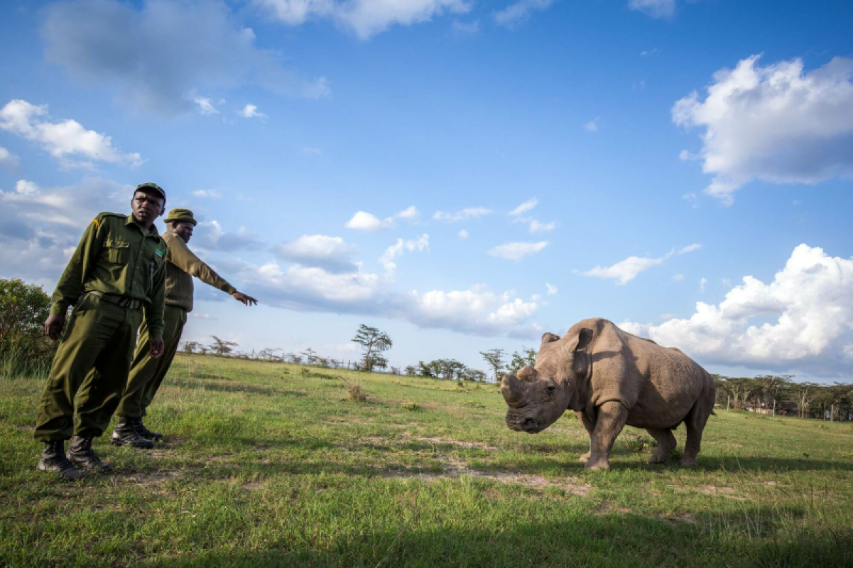Ol Pejeta