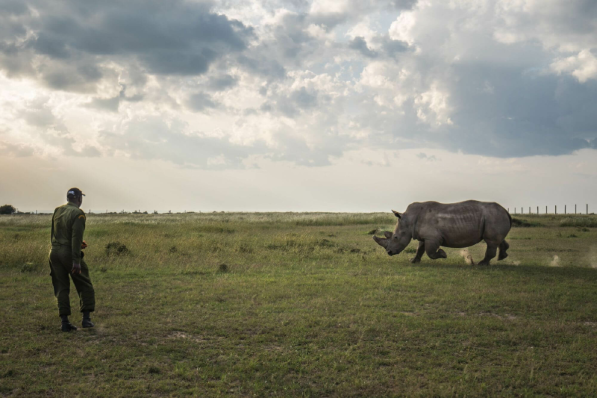 Ol Pejeta