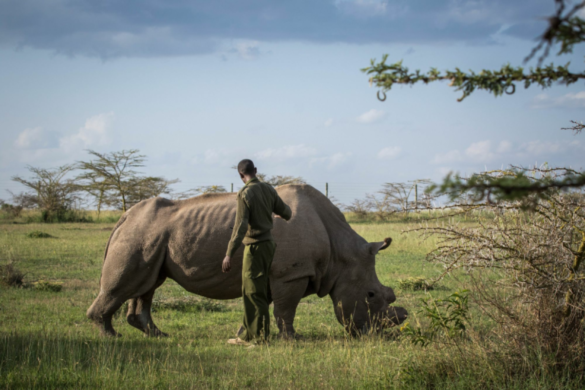 Ol Pejeta