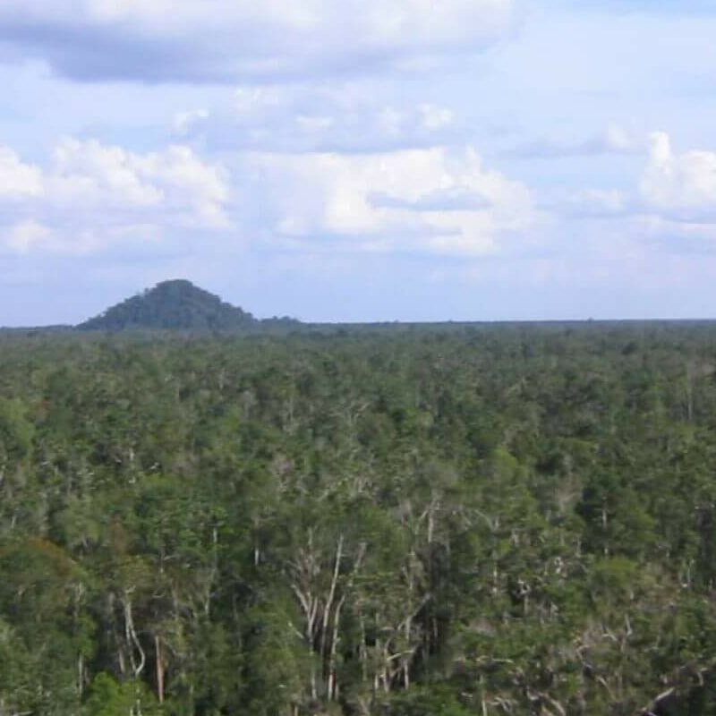Palangkaraya