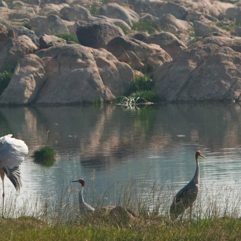 Panna-Nationalpark