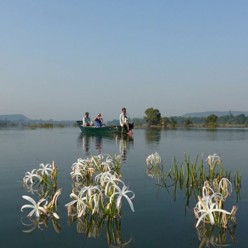 Panna-Nationalpark