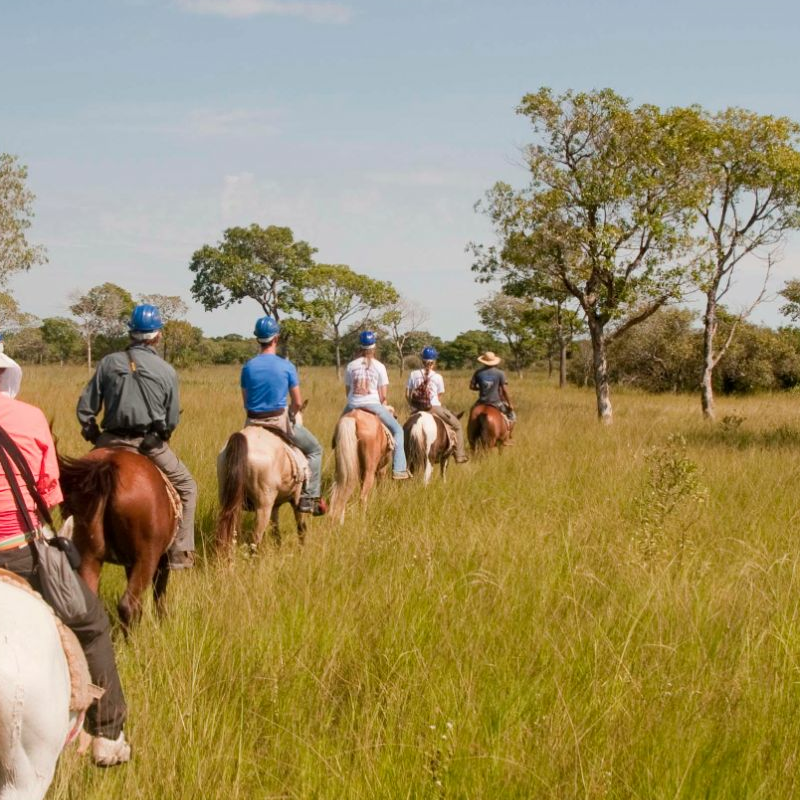 Pantanal