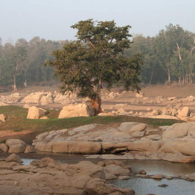 Pench Nationalpark