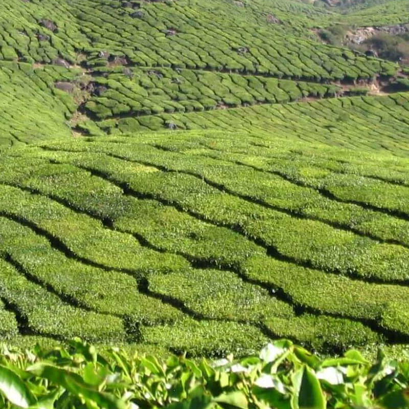 Periyar-Nationalpark