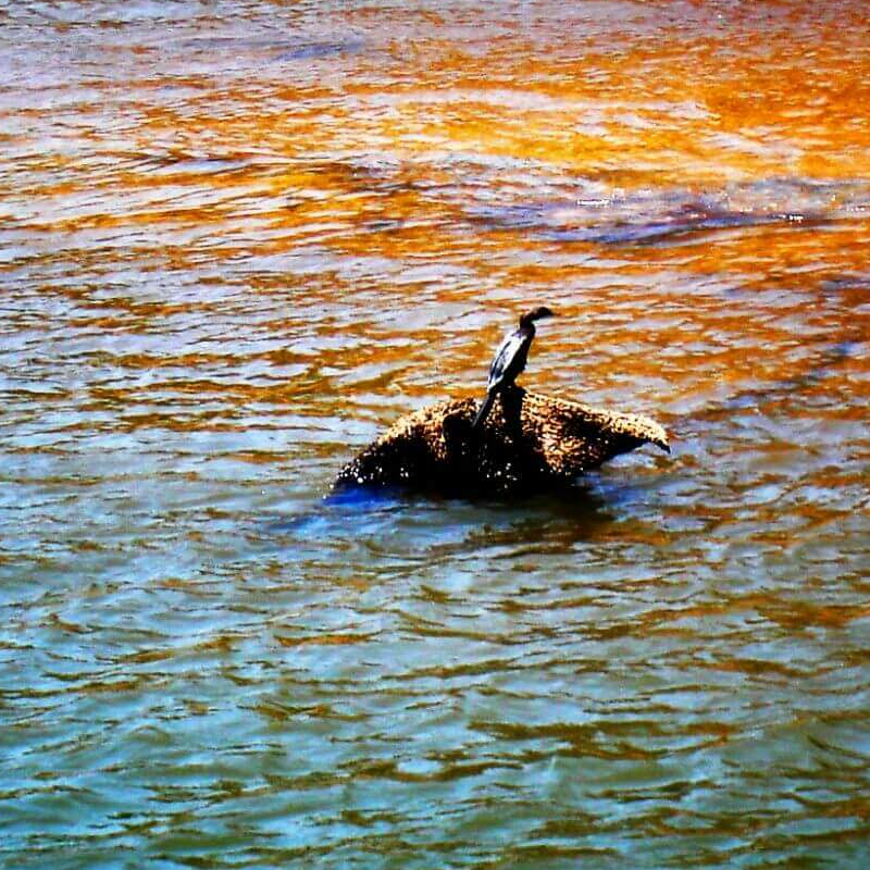 Periyar-Nationalpark