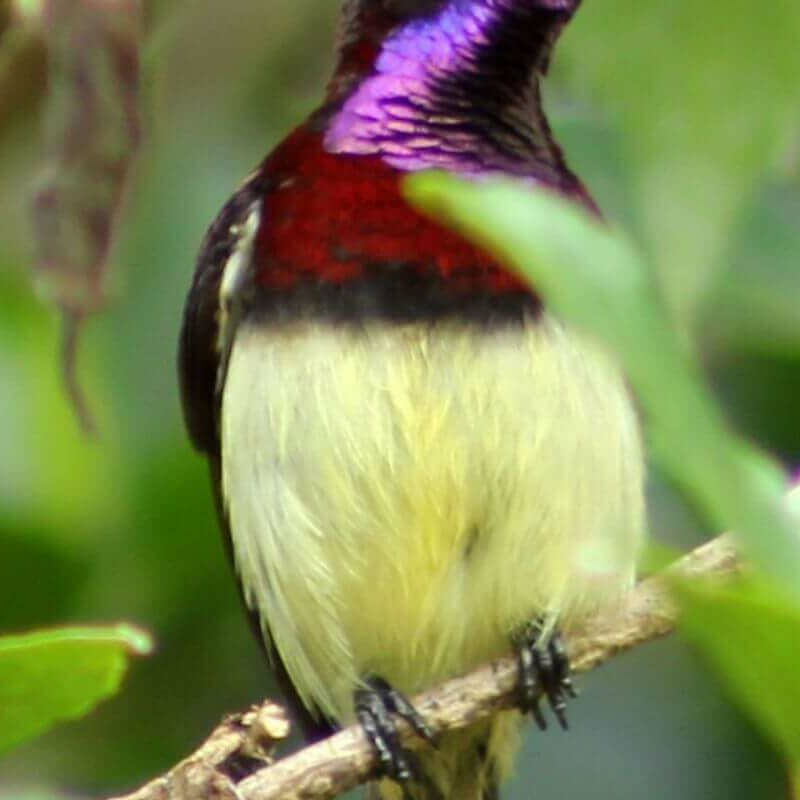Periyar-Nationalpark