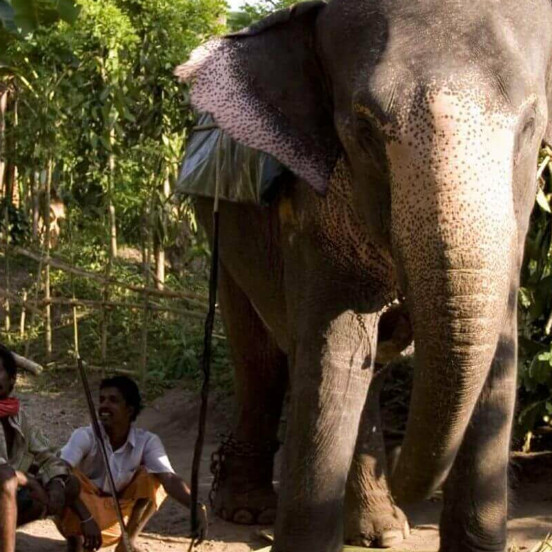 Periyar-Nationalpark