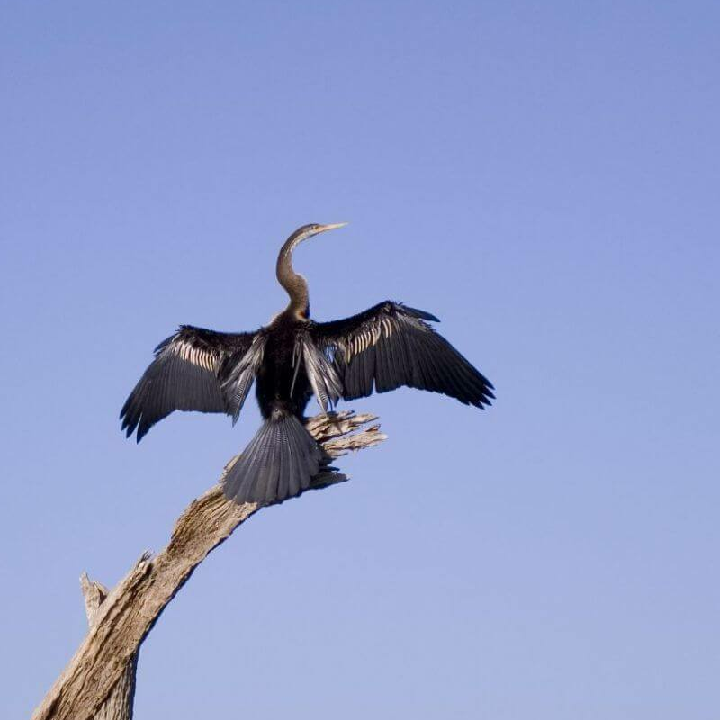 Periyar-Nationalpark