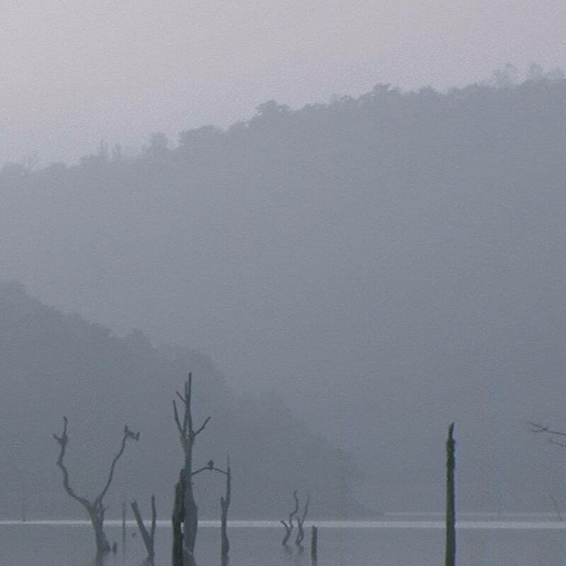 Periyar-Nationalpark