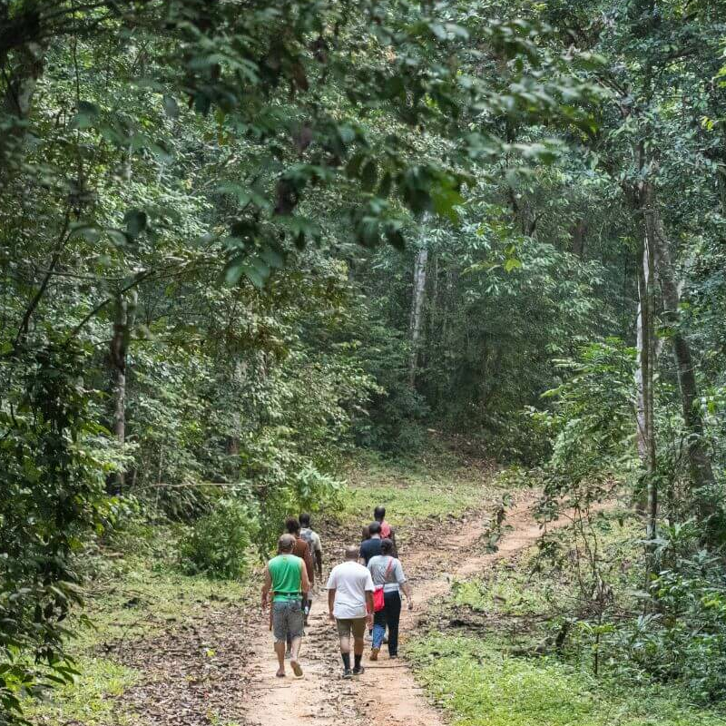 Pongara Nationalpark