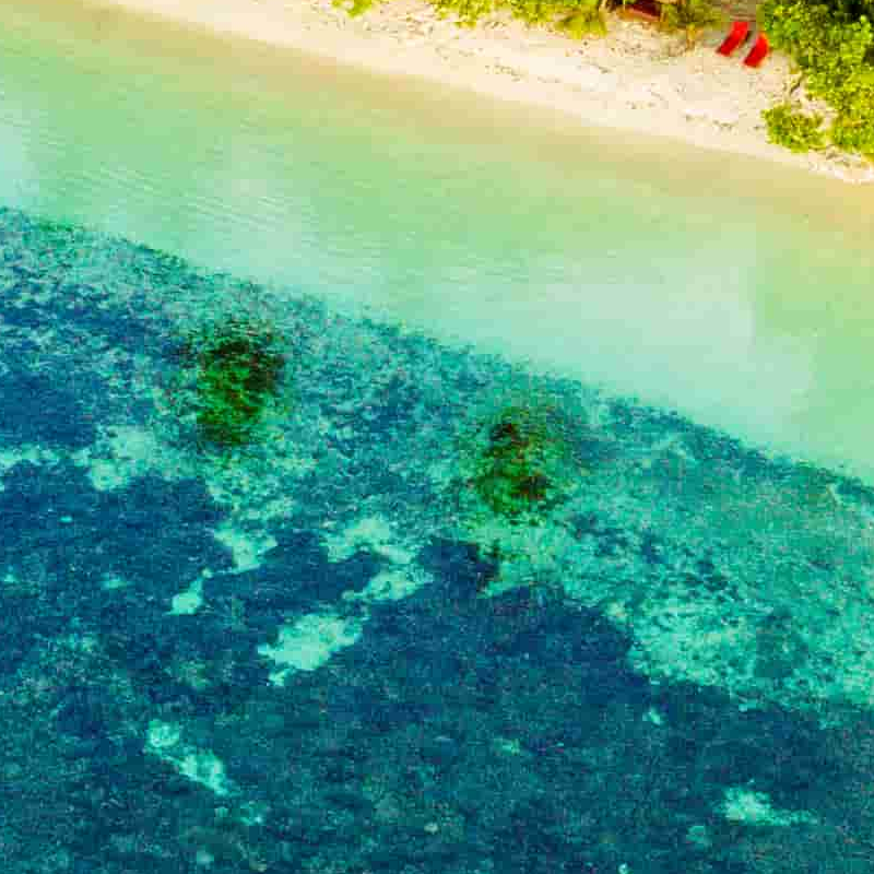 Raja Ampat und West Papua