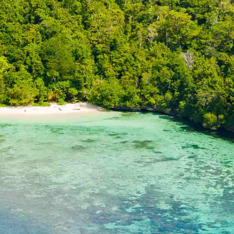 Raja Ampat und West Papua