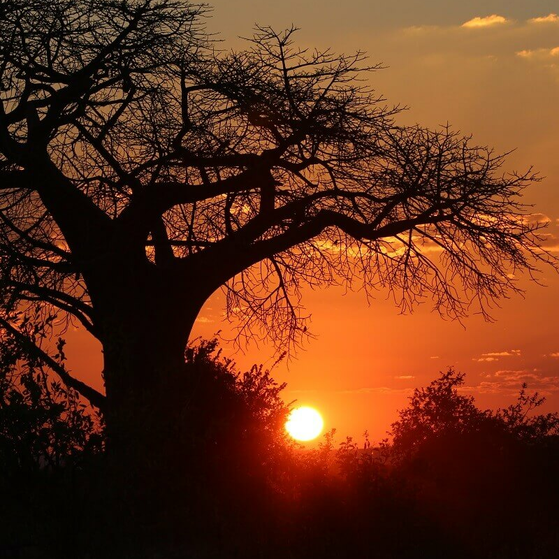 Ruaha-Nationalpark