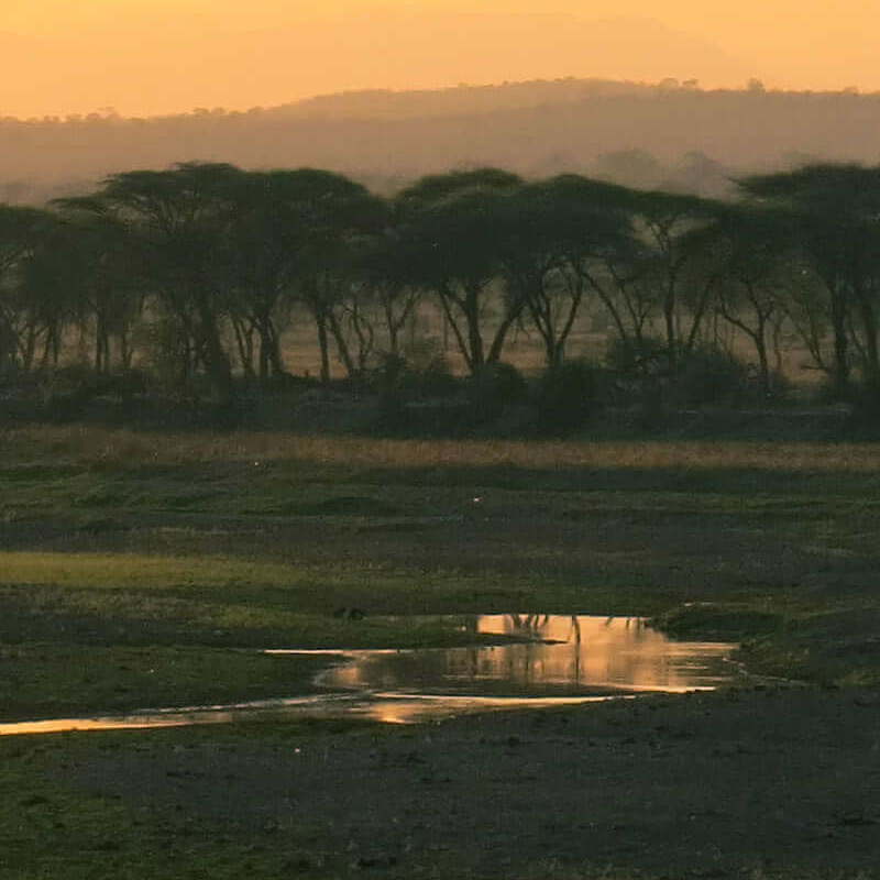 Ruaha-Nationalpark