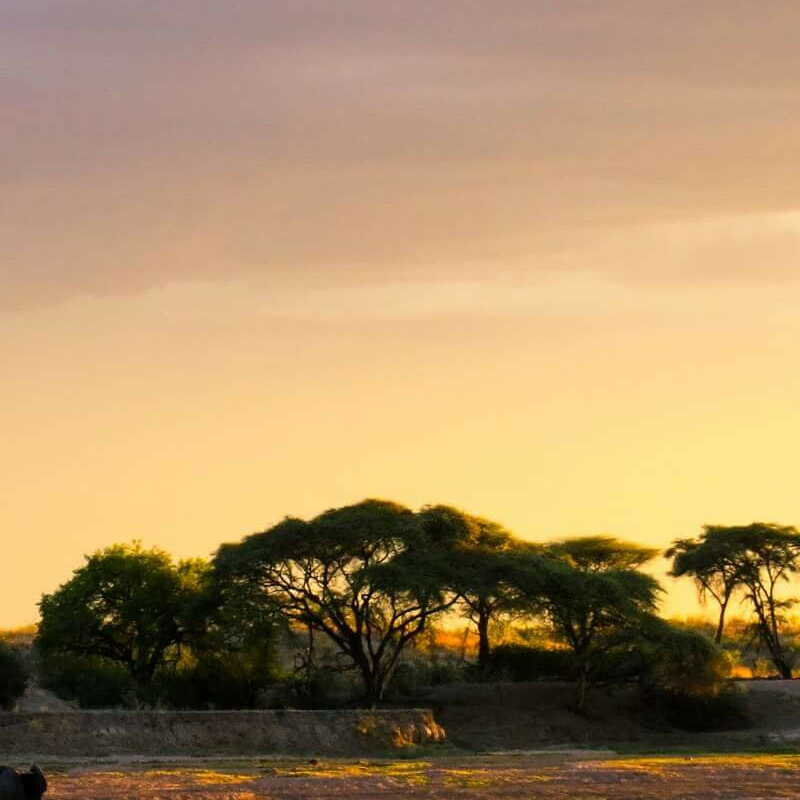 Ruaha-Nationalpark