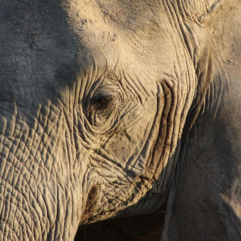 Ruaha-Nationalpark