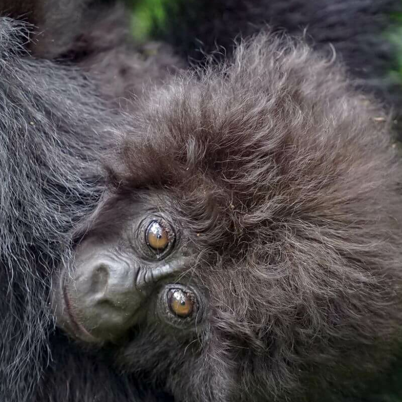Ruanda