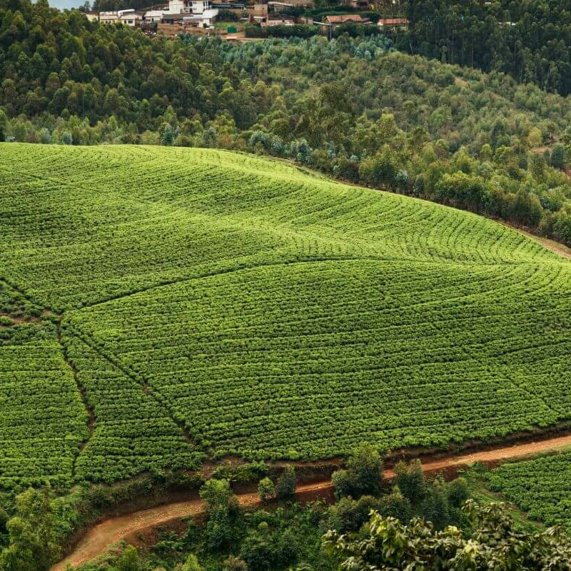 Ruanda